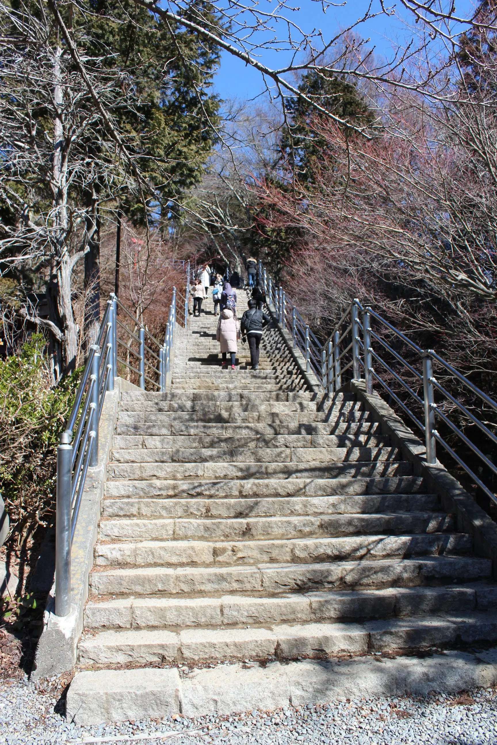 ⛩️ 추레이토 탑 (아라쿠라야마 센겐 공원) 이미지 5